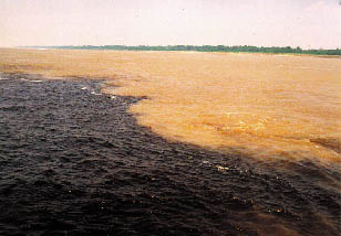 Rio Negro